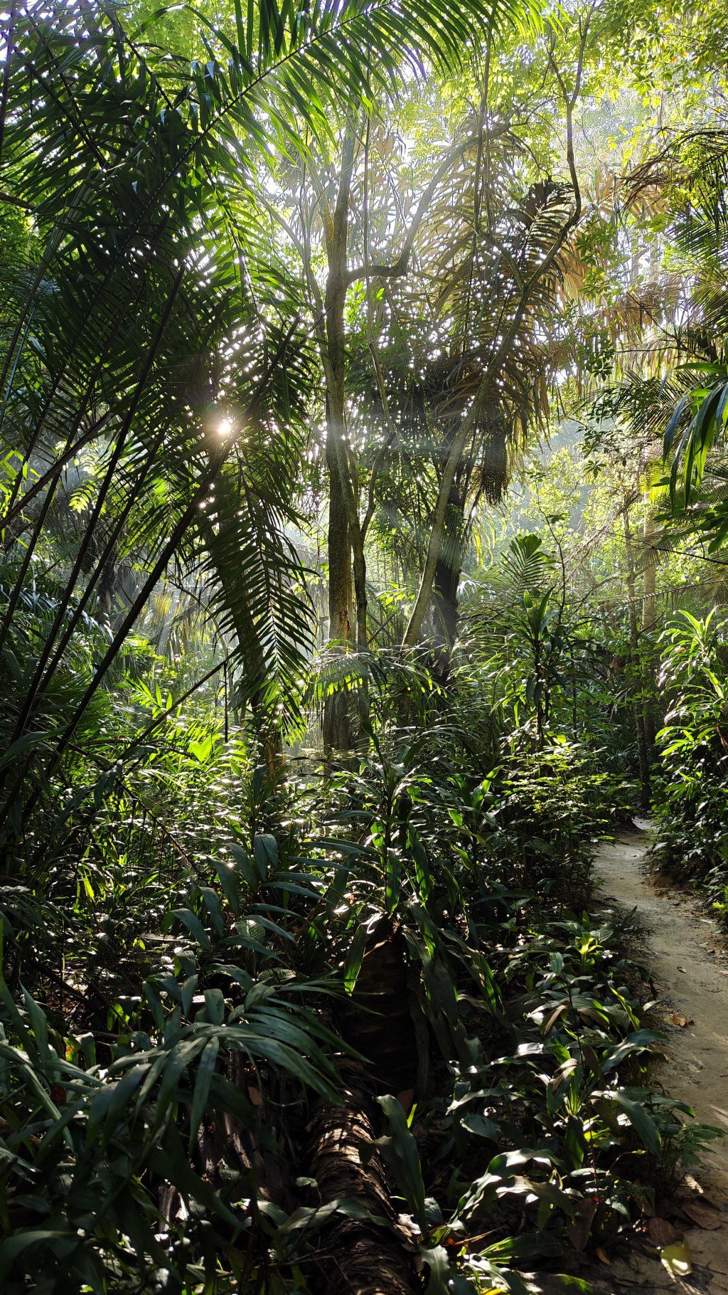Taman Tugu Kuala Lumpur