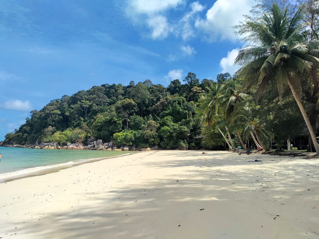 Tropisch eiland | palmbomen | strand