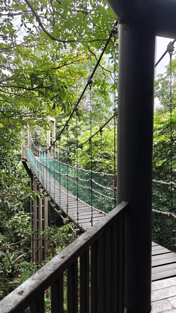 Canopy walk in KL Eco Forest