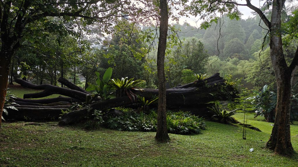 Kuala Lumpur Botanical Gardens
