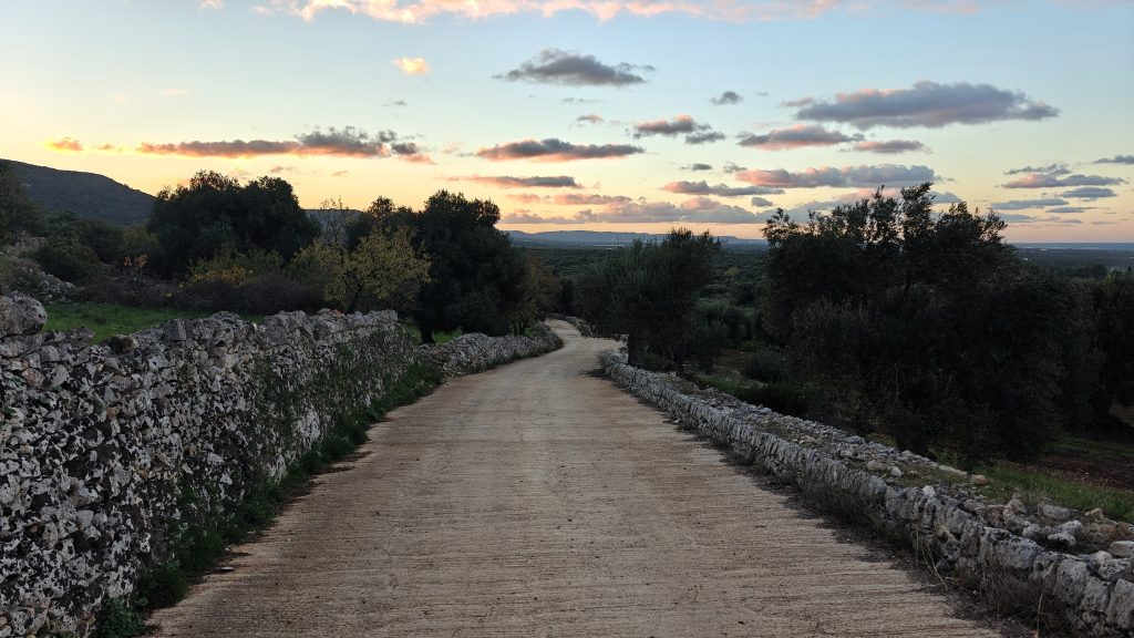 Mooie laan net buiten Ostuni door de olijfboomgaard