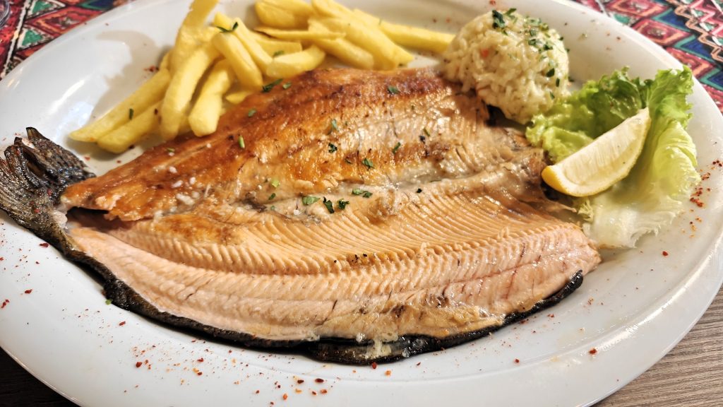 Ohrid forel
