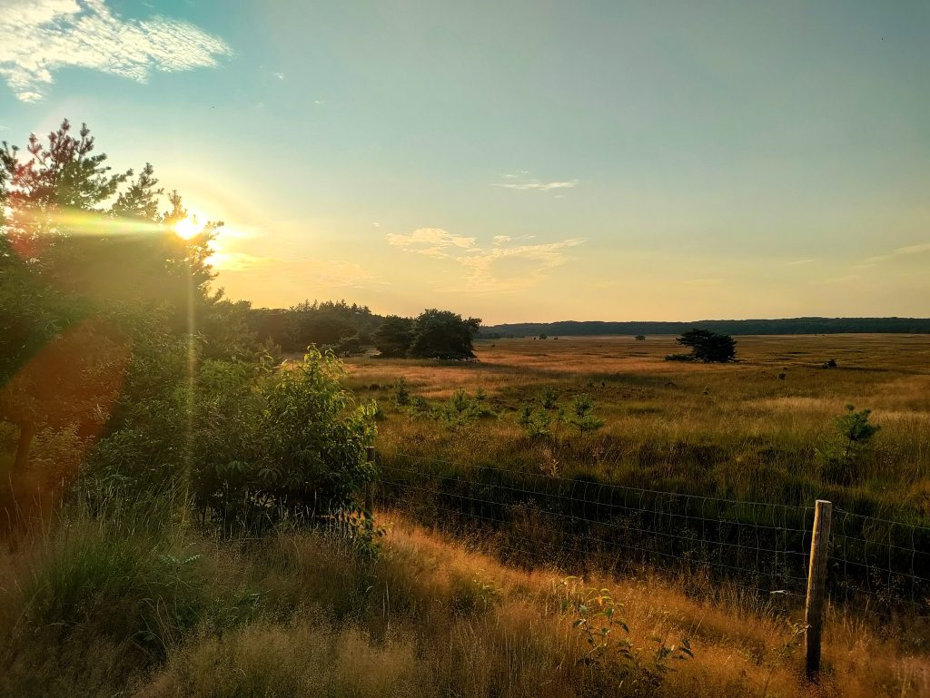 Camping Westerwolde | zonsondergang op de heide van Assel