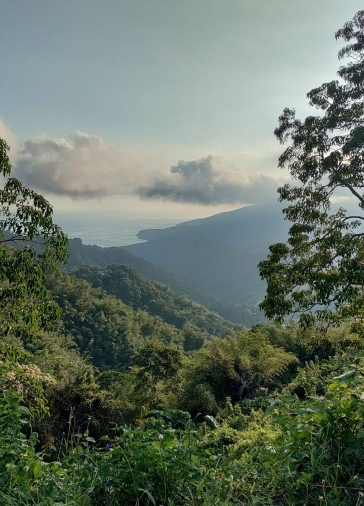 Een complete reisgids voor Flores Indonesië