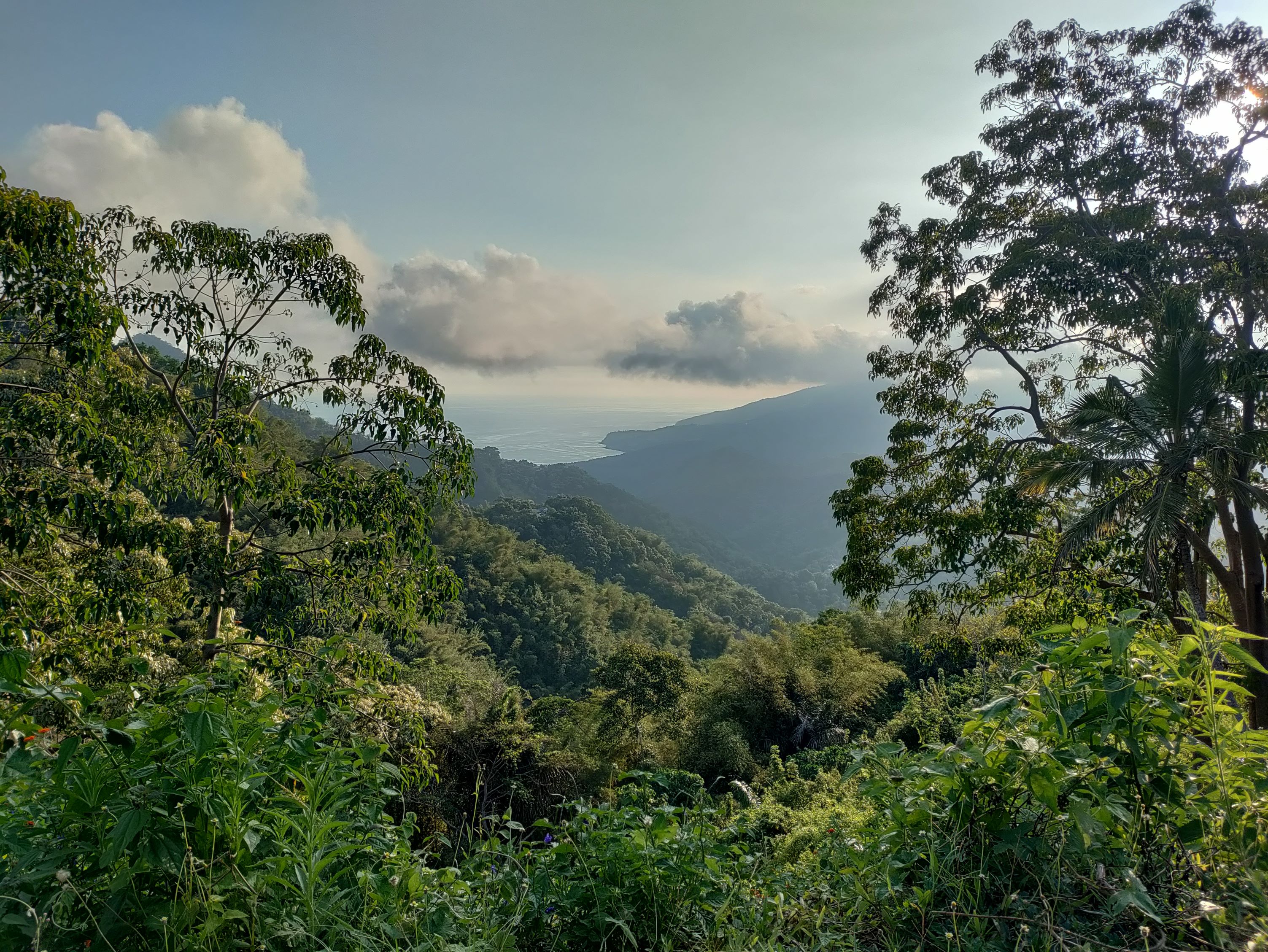 Een complete reisgids voor Flores Indonesië