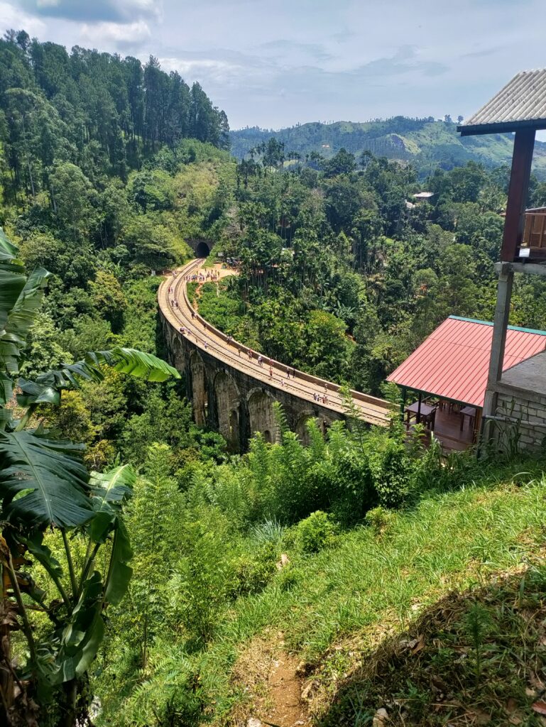 Een jaar op reis #19: Heuvels, thee en strand in het zuiden van Sri Lanka