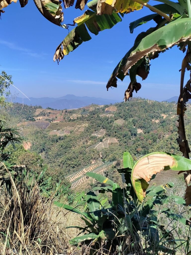 De Samoeng Loop: ontdek de spectaculaire omgeving van Chiang Mai per scooter