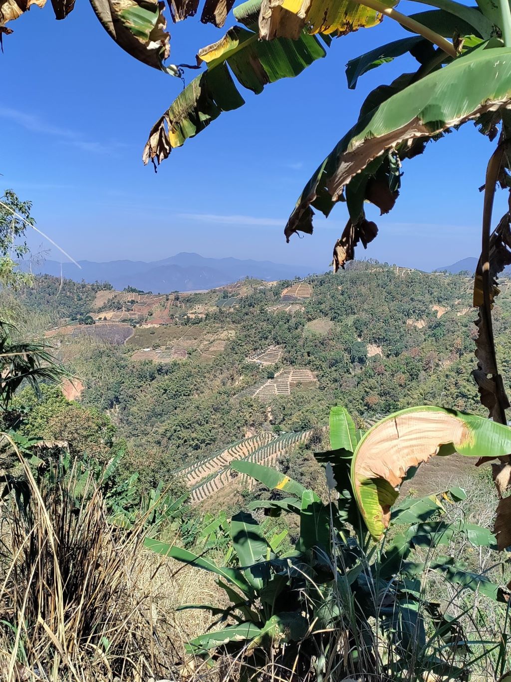 De Samoeng Loop: ontdek de spectaculaire omgeving van Chiang Mai per scooter