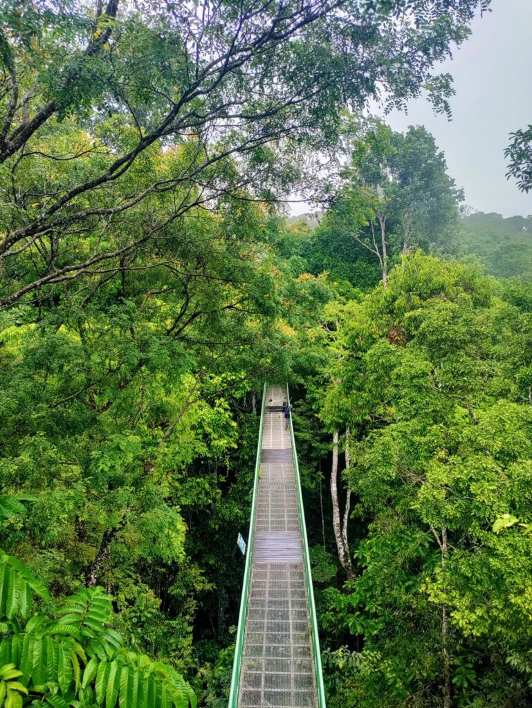 Roadtrip Maleisisch Borneo: ontdek Sabah met een huurauto