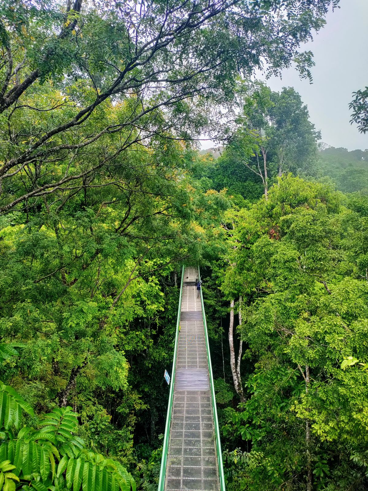Roadtrip Maleisisch Borneo: ontdek Sabah met een huurauto