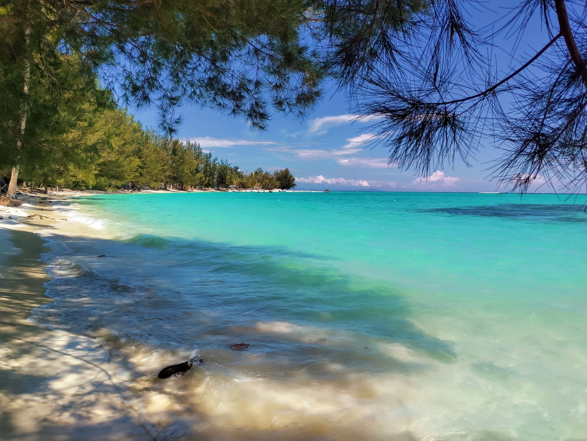 Borneo on a Budget: Tips om Maleisisch Borneo betaalbaar te houden