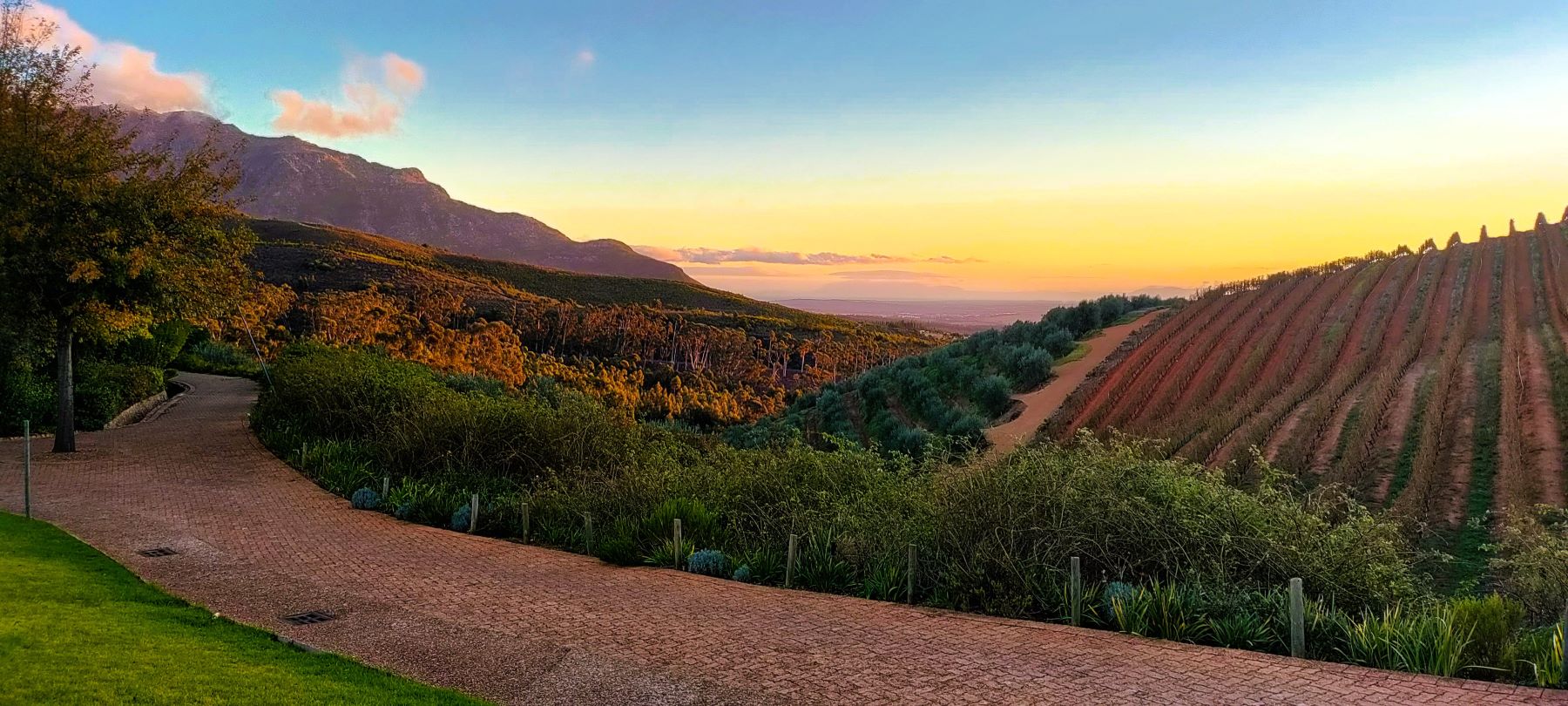 De leukste wijnhuizen in Stellenbosch (waar je ook nog eens heel lekker kunt eten)