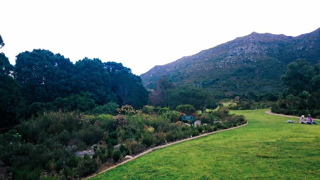 Kirstenbosch Botanical Garden Zuid-Afrika
