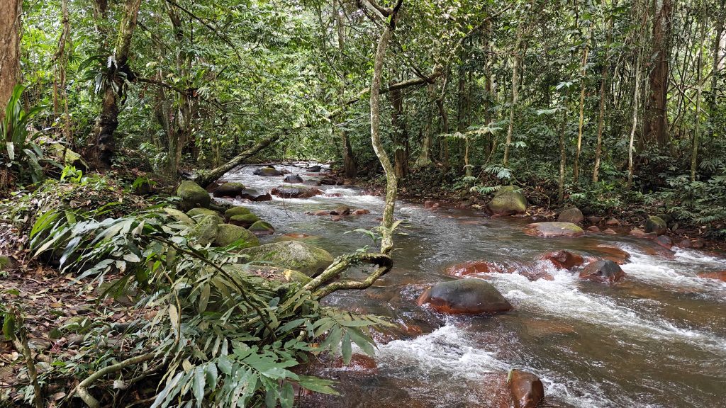 Rivier Kuala Lumpur