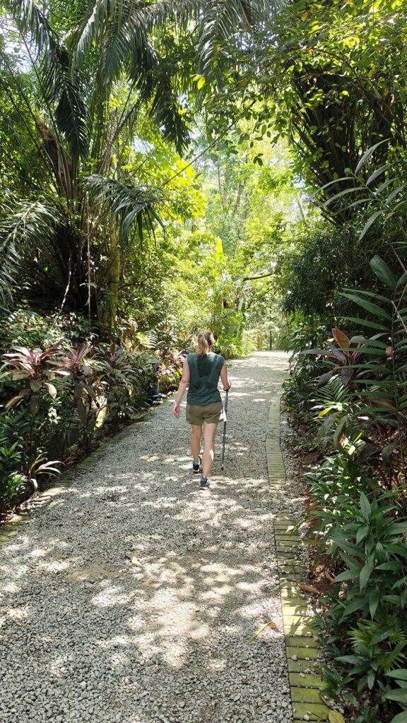 Bukit Kerinchi_hiken in Kuala Lumpur_stadsjungle