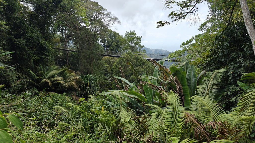 The Habitat Penang Hill hangbrug