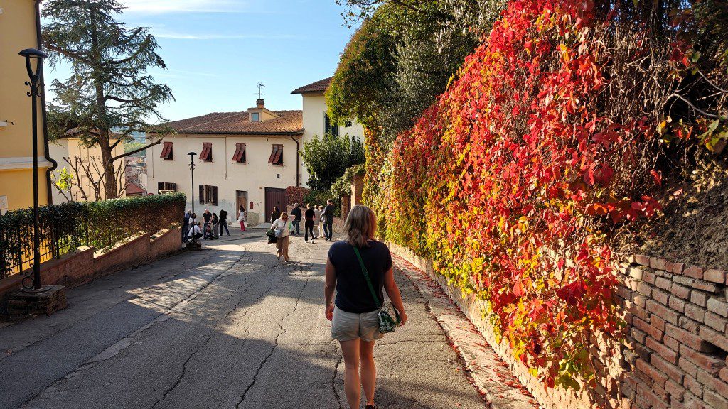 Herfstkleuren in Certaldo Alto Toscane