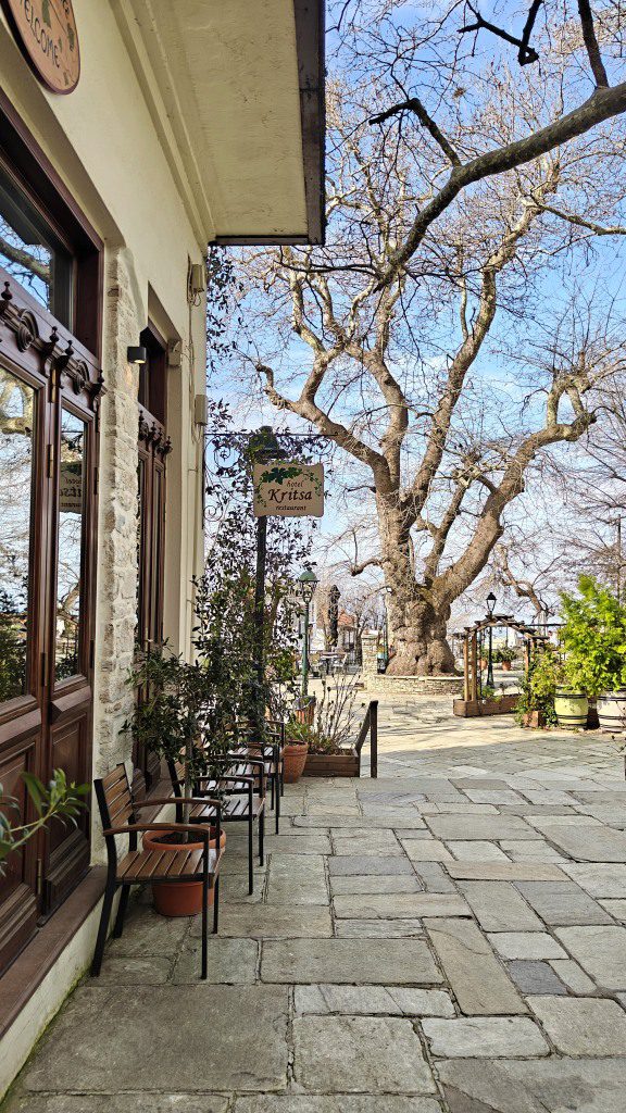 Hotel Restaurant Kritsa op het centrale plein in Portariá Pelion Griekenland
