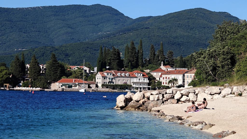 Schiereiland Luštica bij de Baai van Kotor Rose